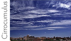 Cirrocumulus